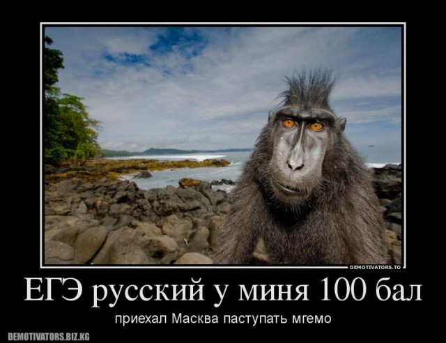 Лучше дурака с инициативой