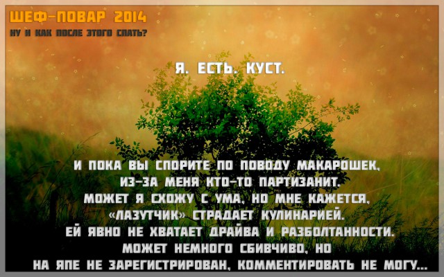 Финал кулинарного конкурса "Шеф-повар 2014"