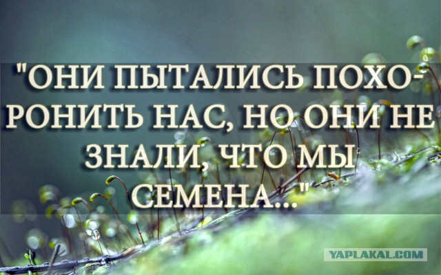 Перемирие кончилось, едва начавшись. Часть 8