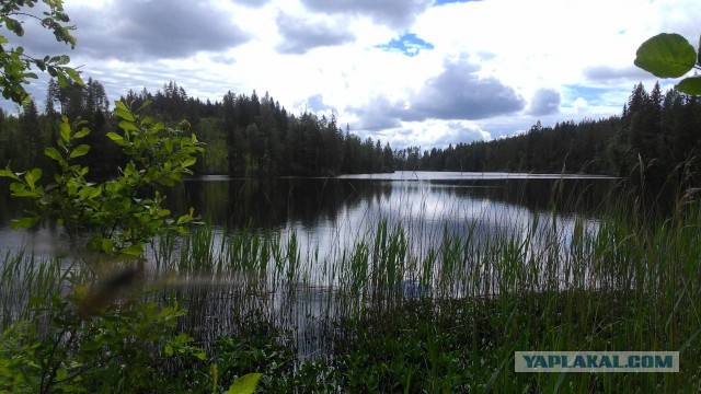 Путешествие в финскую Laavu на выходные