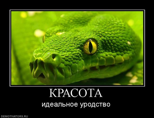 Вы хотите "демов"?