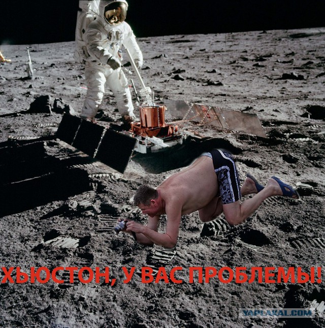 Жаба: Фотолюбитель