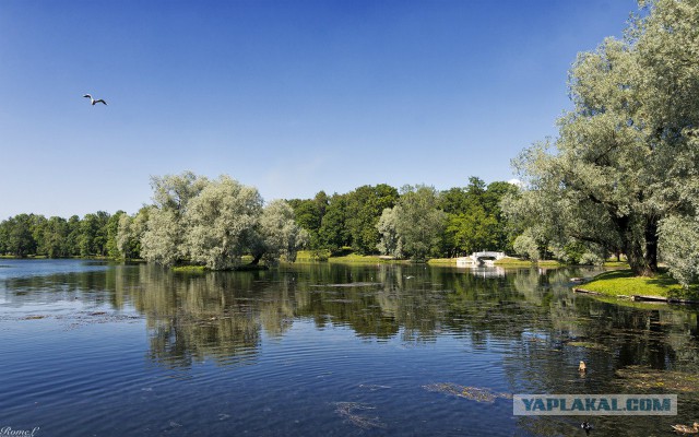 Немного моих фото, авторское