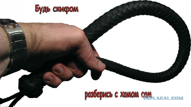 "Стоп-Хам"  и "Лев против" докопались до меня ...