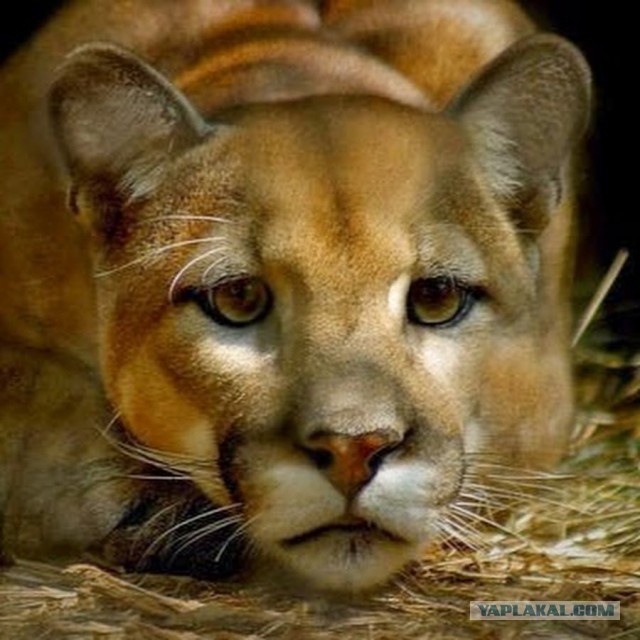 Подборка интересных и веселых фото