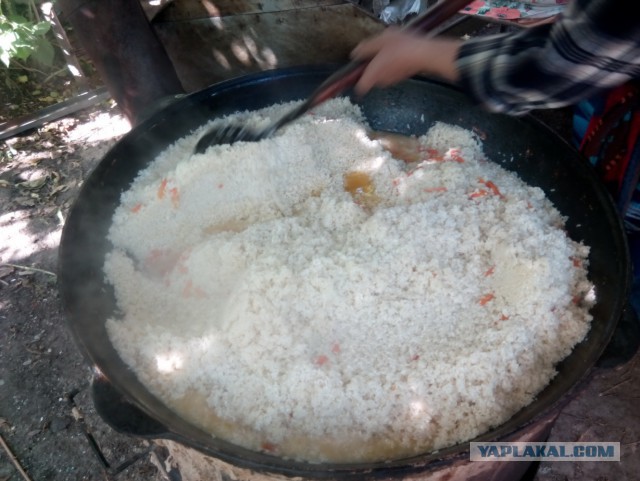 Большой плов (по уйгурски)