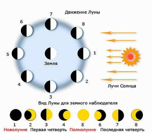 Новая теория эволюции