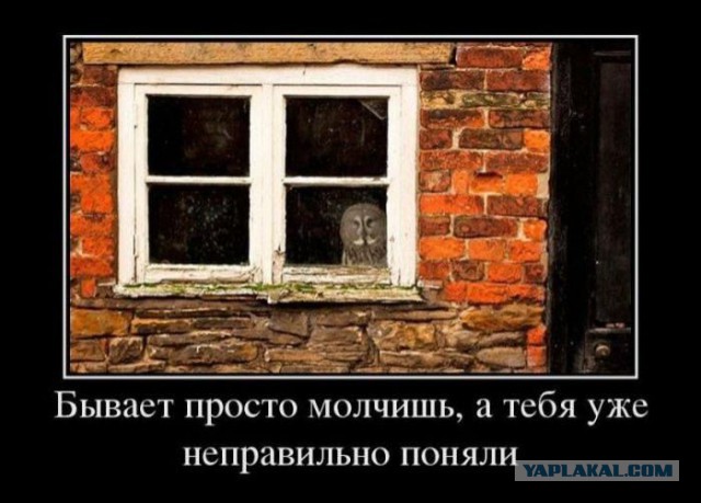 Начался сбор подписей за отставку детского омбудсмена Астахова.
