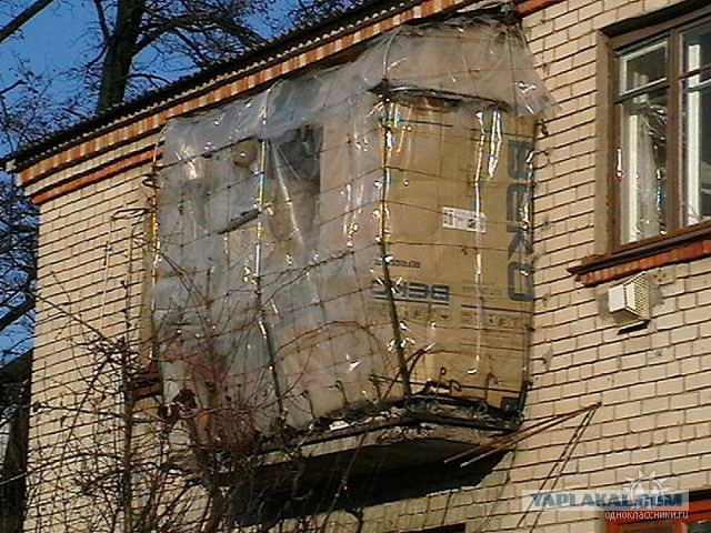 Настоящий фотограф всегда найдёт удачный ракурс!