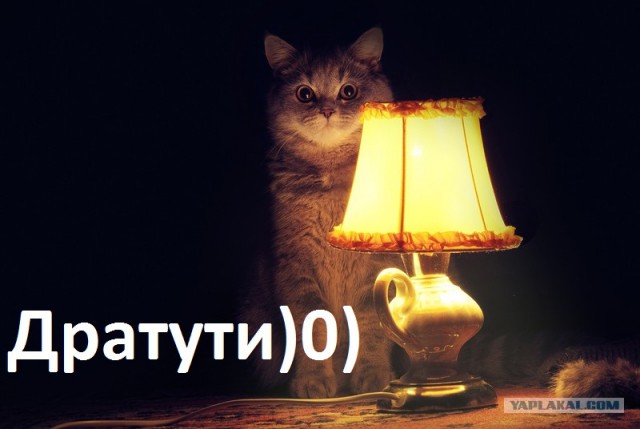 Как я побывал в психушке