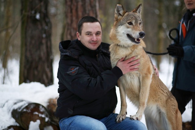 Снег. Лес. Волки. Фотоаппарат.