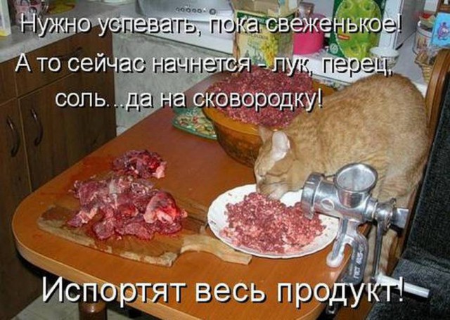 Картинки из инета
