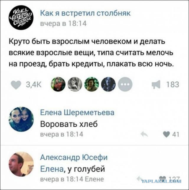 Смешные комментарии из социальных сетей
