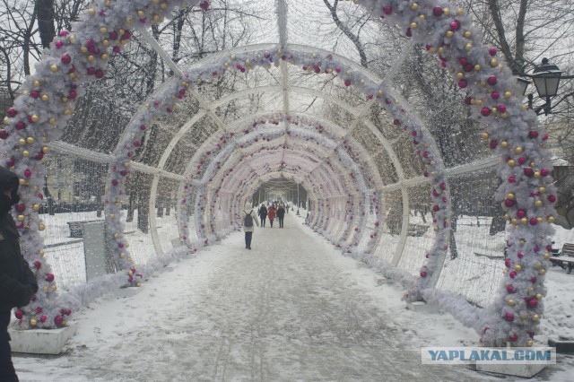 Моменты, запечатлённые на фото и просто позитив 5