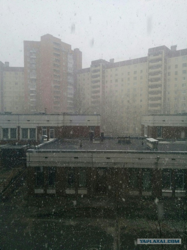 Хорошо в Питере в мае!
