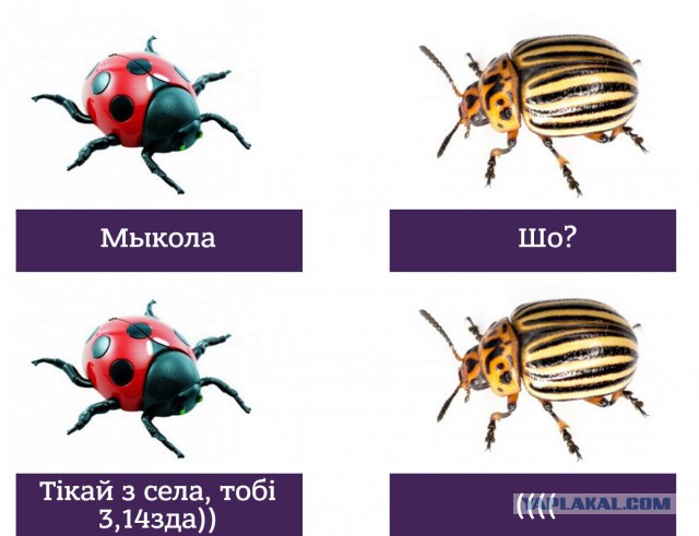 Верховная Рада запретила георгиевскую ленту на Украине