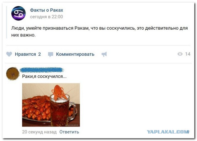 Смешные комментарии из социальных сетей 07.07.2017