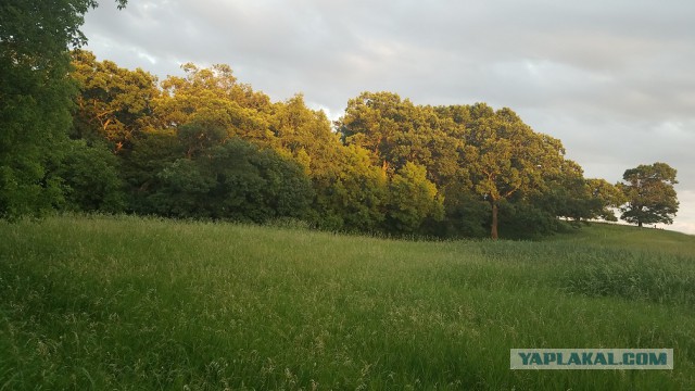 Просто Природа