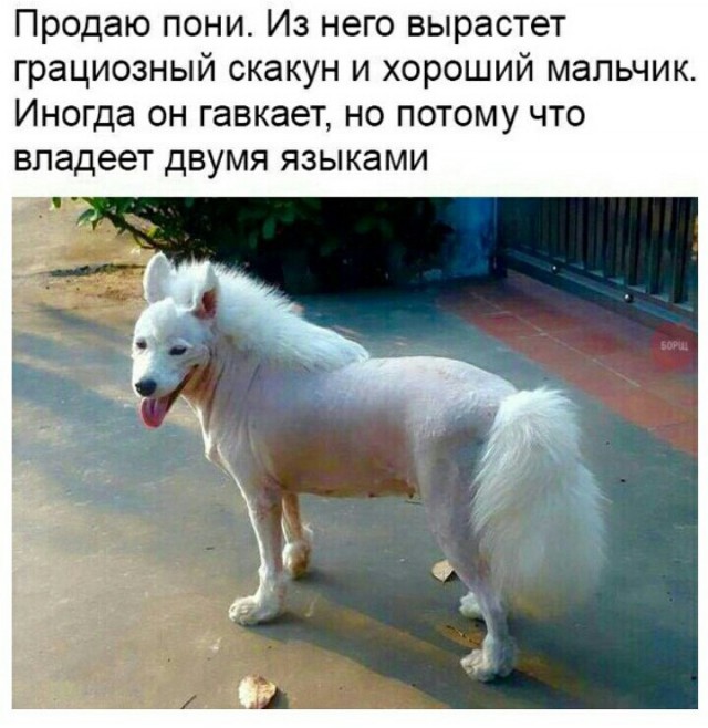 Немного деградации или WTF