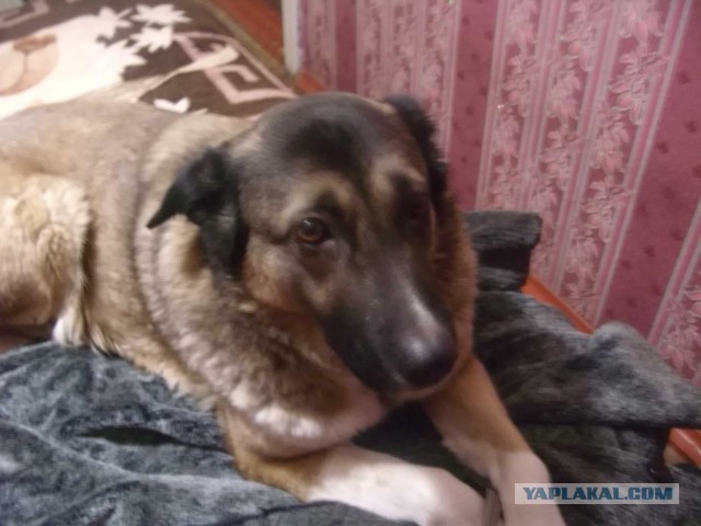 Скучаю...