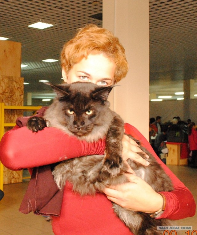 "Сибирское чудо-2011"