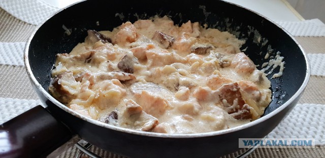 Кулинарный парад в честь 23 февраля