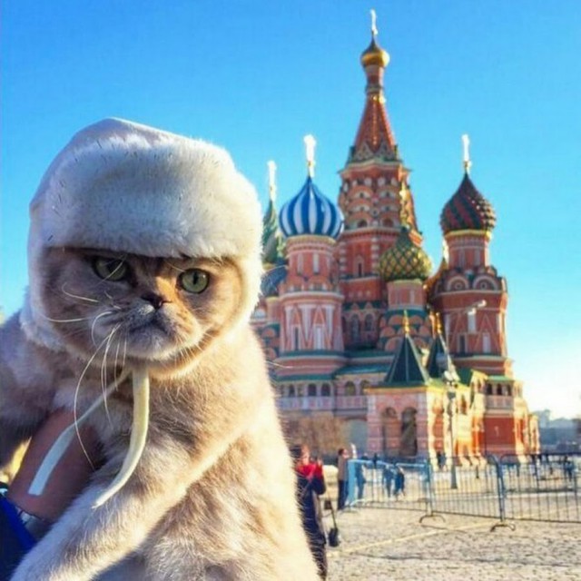 И всё-таки она наша. Лента картинок