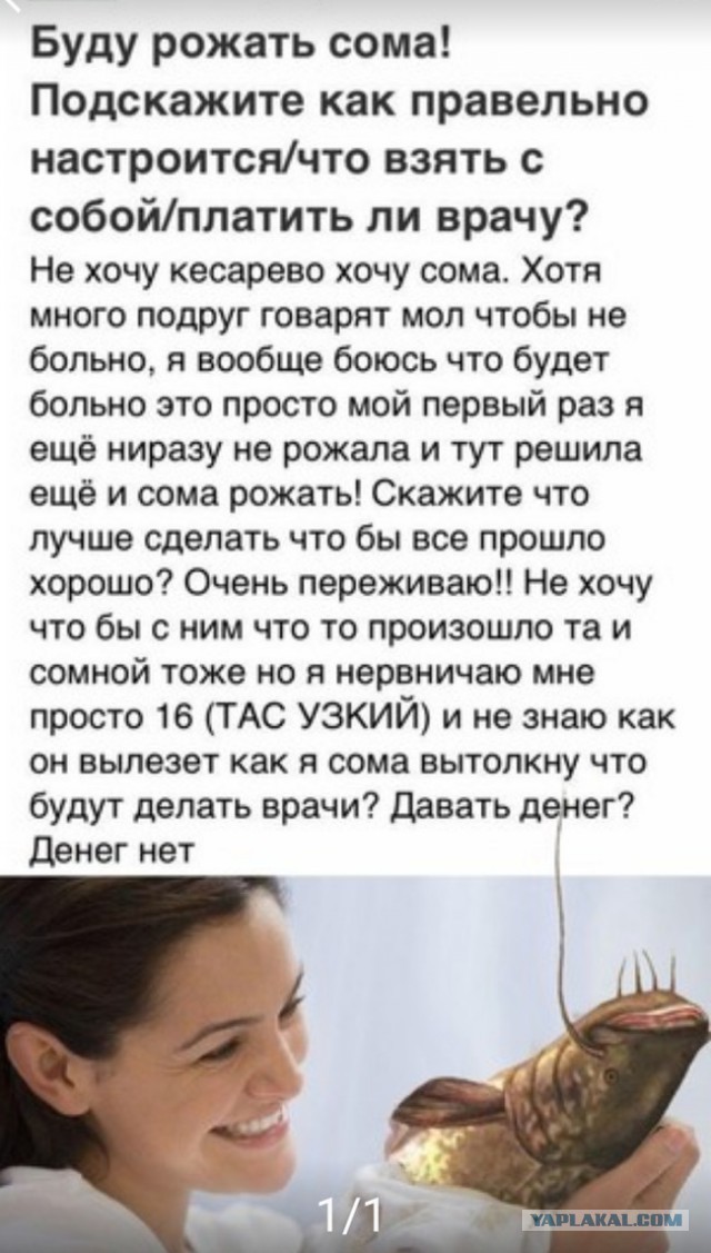 Тот самый котёл