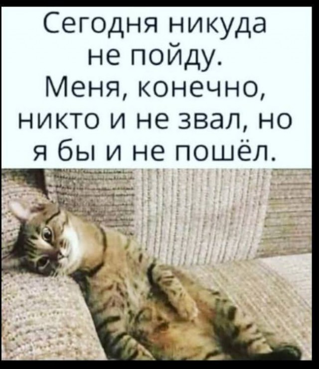 Юмор в картинках 08.08.20