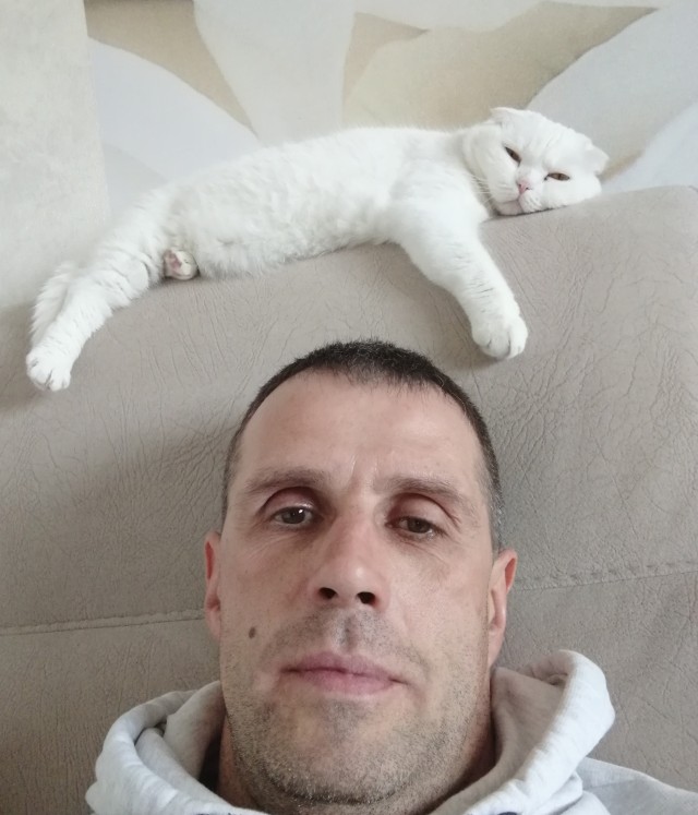Про котикоф