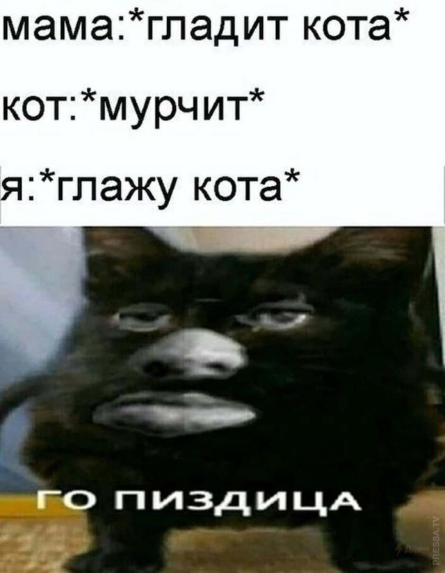 Картинки и мемы для настроения 024
