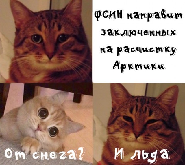 ФСИН направит заключенных на расчистку Арктики