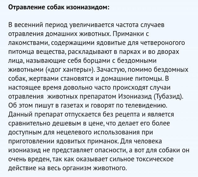 Астрахань. Ряды догхантеров пополняются