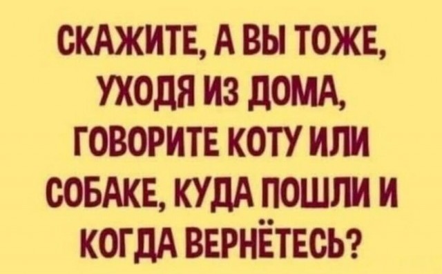Солянка 16.03
