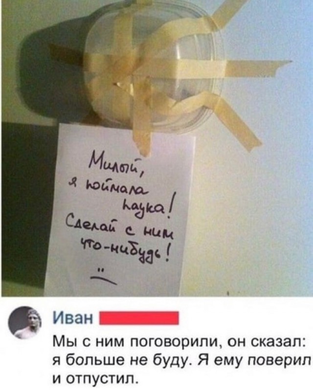 Пятница. Вечер. Картинки всякие...