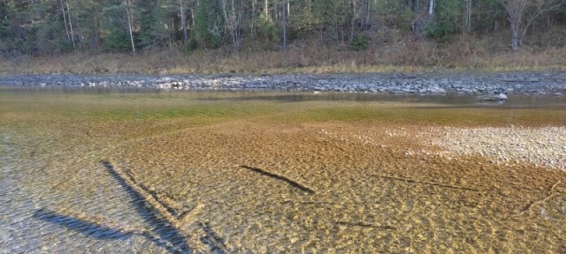 Открытие сезона жидкой воды