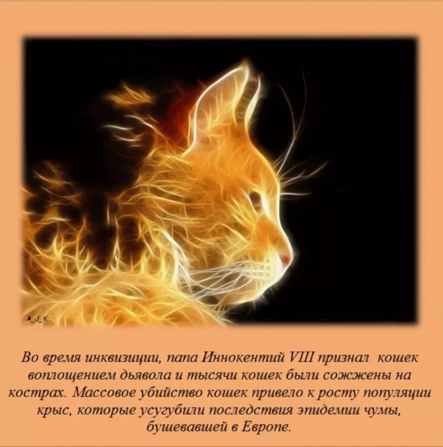 70 удивительных фактов