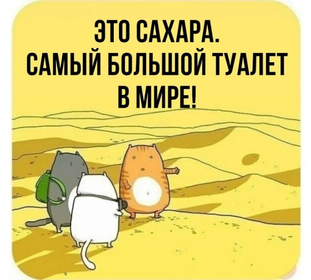 Весёлый полтишок 16.05.22
