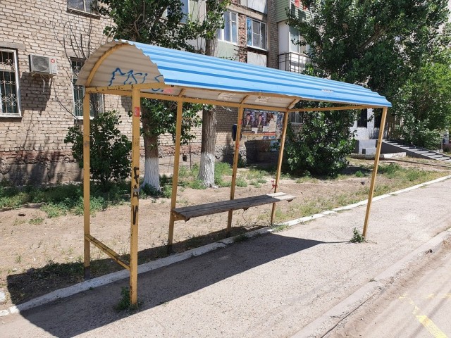 Астрахань – город «мёртвых» собак