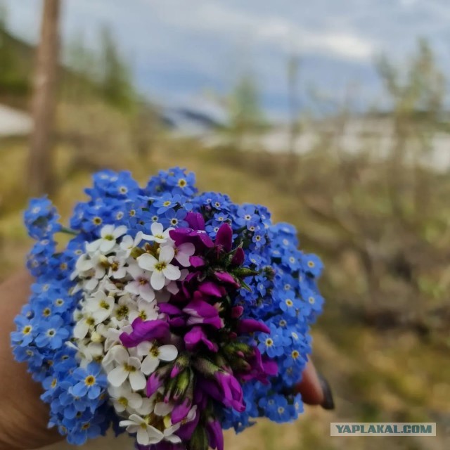 Норильск, район Талнах, водопад Красные камни