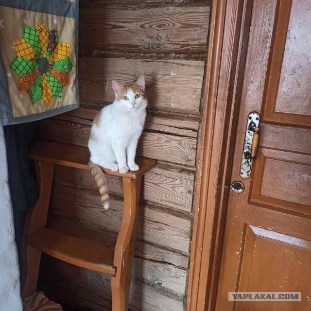 Вот моя деревня-2