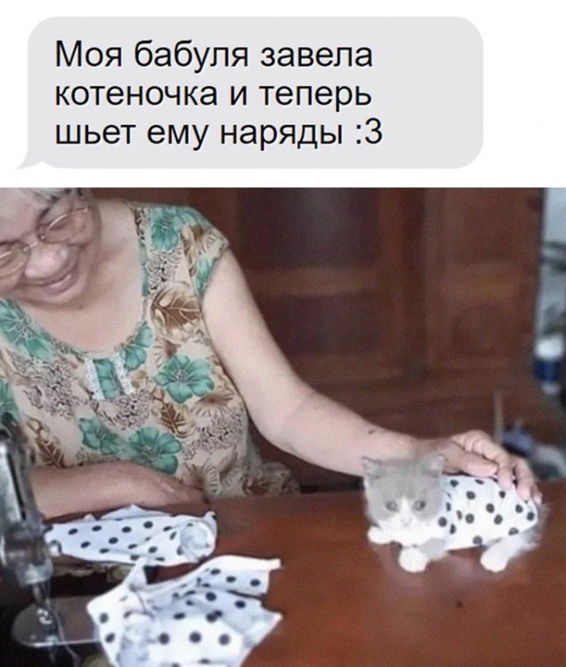 Картинки и мемы для настроения - 19