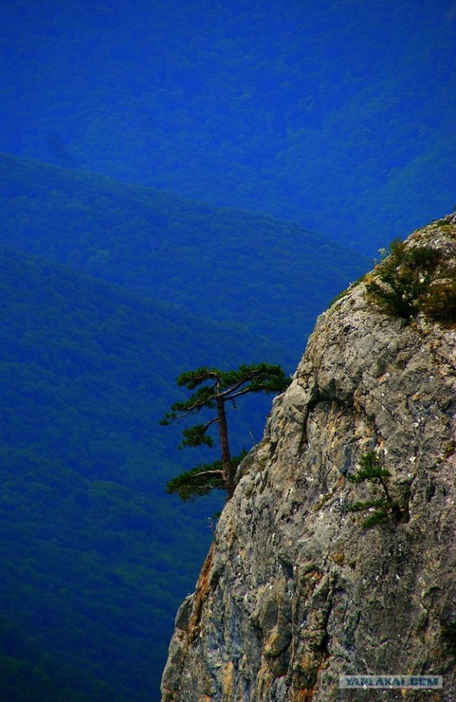 Прогулка по Крыму