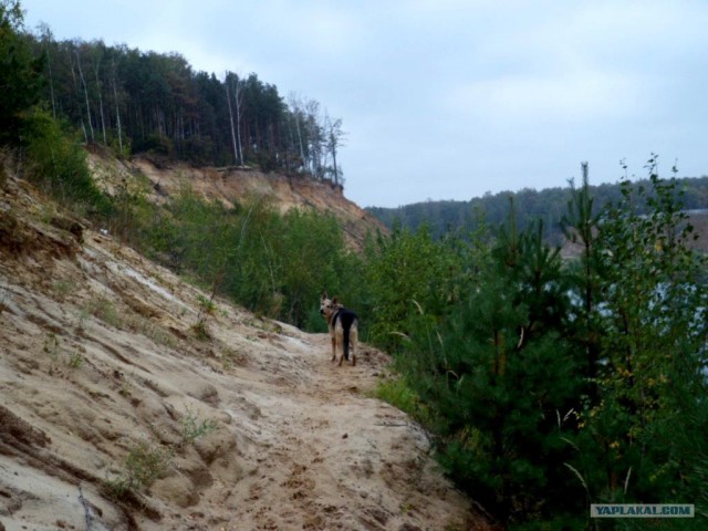 Генералы песчаного карьера