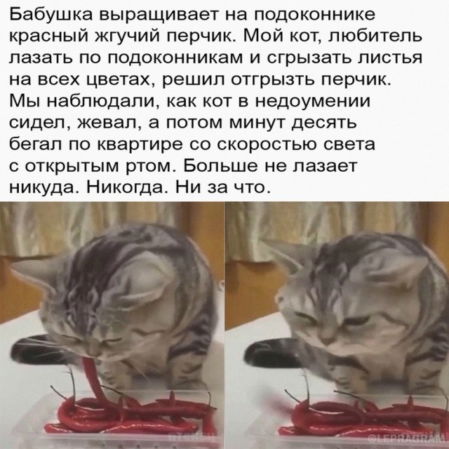 Немного картинок для настроения - 125