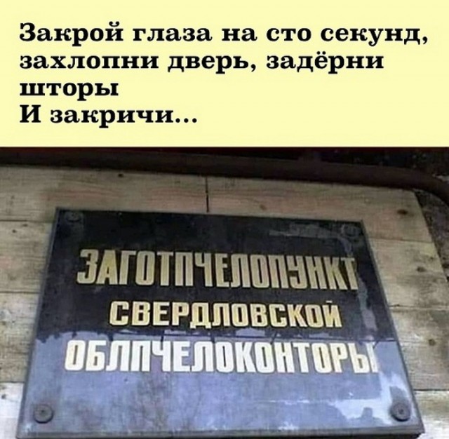 Так себе картинки 11.11.22