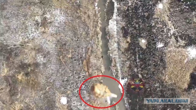 СКР расследует факты применения ВСУ химического оружия в Соледаре и Артемовске
