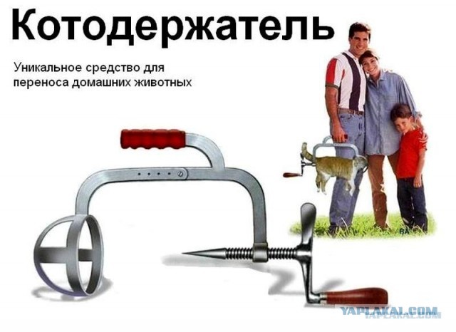 Кошка из Игры престолов