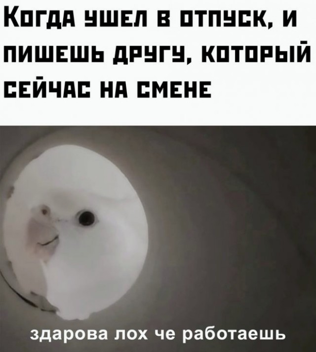Немного картинок для настроения - 153