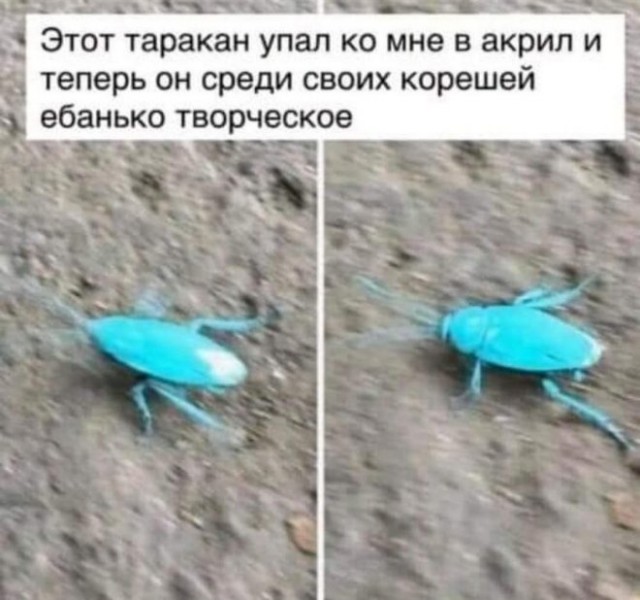 Нуштош 29.03.2023